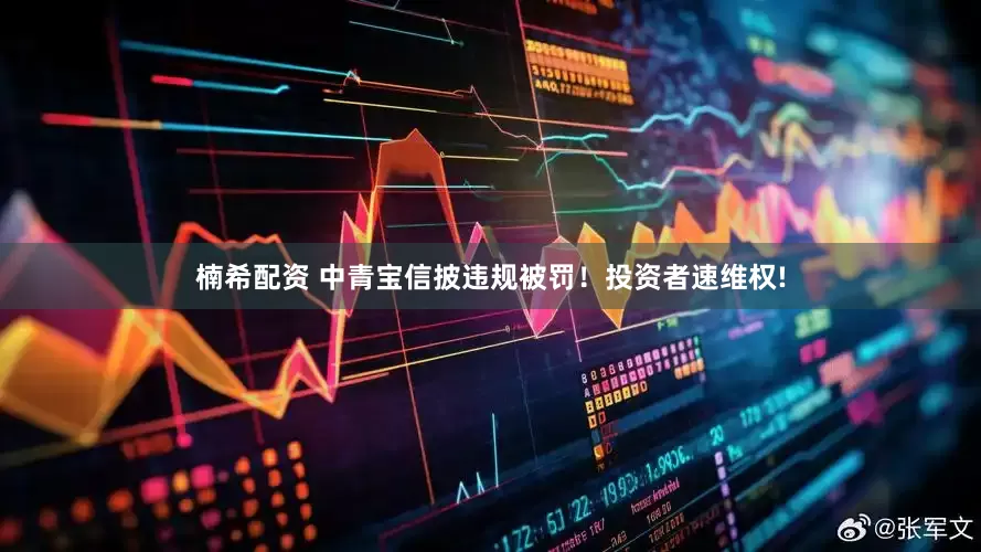 楠希配资 中青宝信披违规被罚！投资者速维权!
