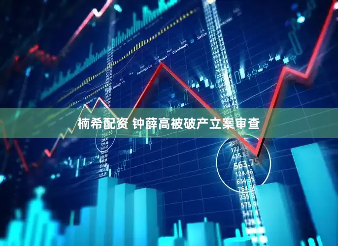 楠希配资 钟薛高被破产立案审查