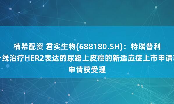 楠希配资 君实生物(688180.SH)：特瑞普利单抗一线治疗HER2表达的尿路上皮癌的新适应症上市申请获受理